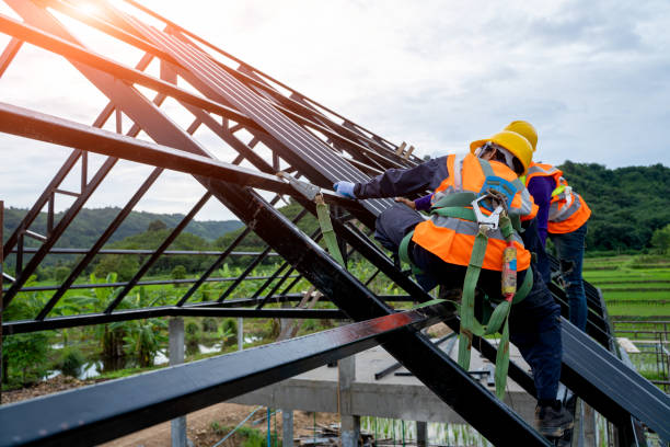 Roof Gutter Cleaning in Elmira Heights, NY